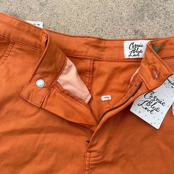Cosmic Blue Love Stitch Fix Serena High Rise Orange Shorts Women's Size 29 NWT - Picture 3 of 8